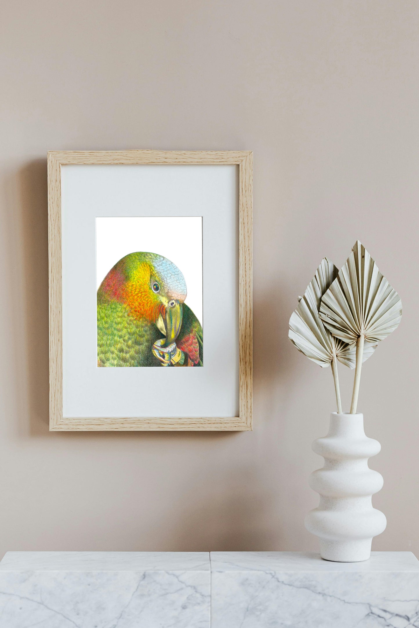 Kaka in Colour Pencil, Art Print