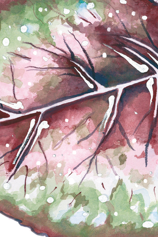 Begonia Rex Watercolour and Ink, Art Print