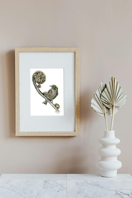 Touhau (Wax-eye or Silvereye) on fern koru, in Ink and Watercolour, Art Print