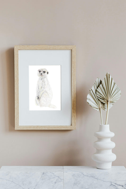Meercat in Colour Pencil, Art Print