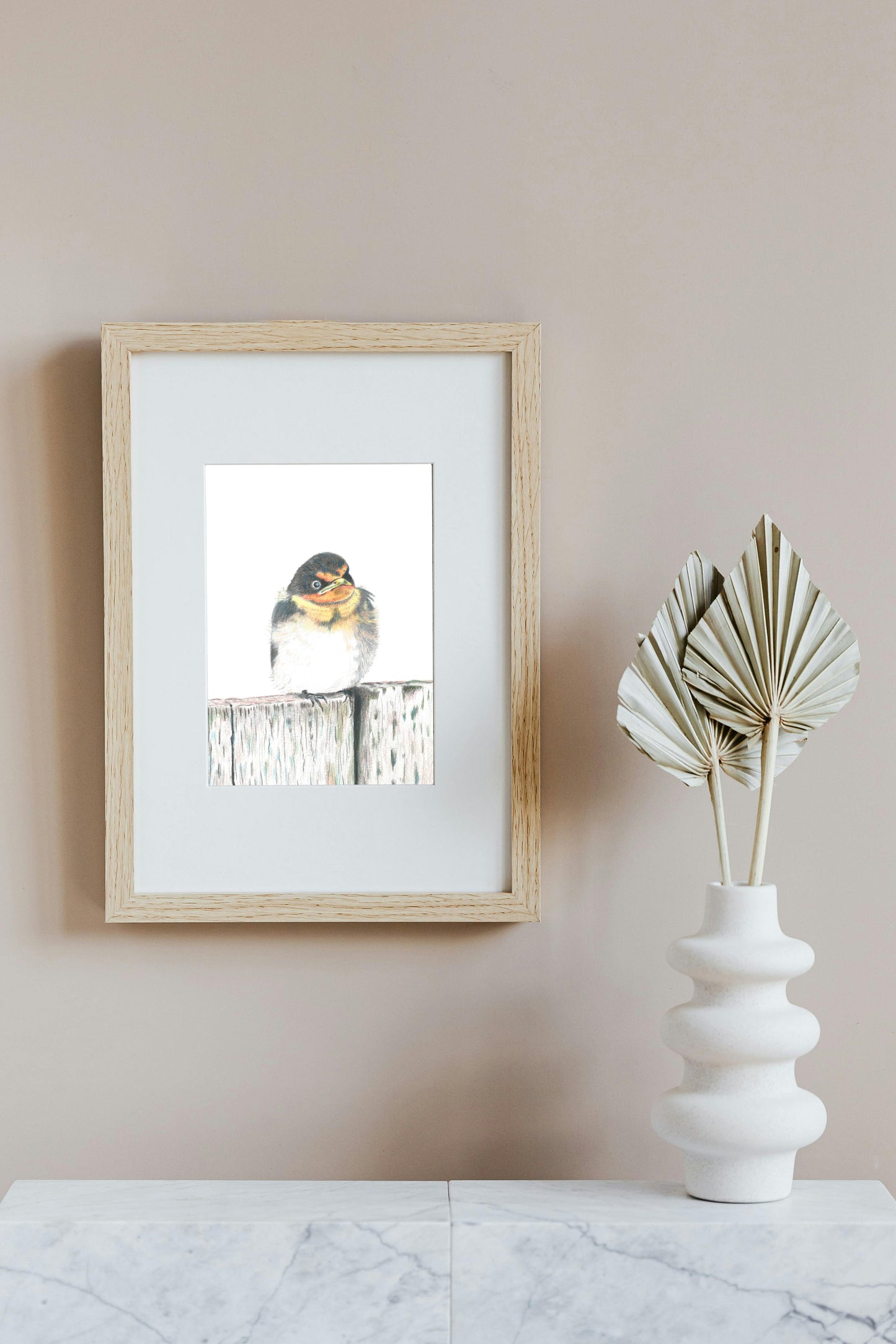 Fledgling Swallow in Colour Pencil, Art Print