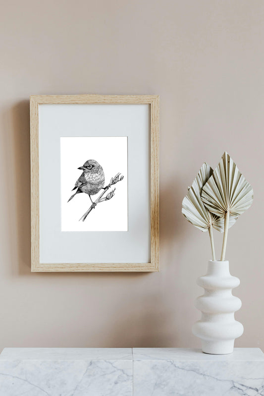 Touhau (Wax-eye or Silvereye) on Harakeke in Ink, Art Print